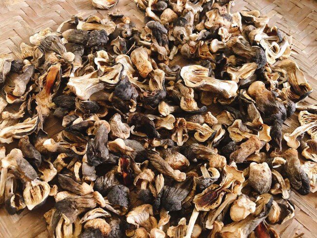 phơi hoặc sấy khô nấm rơm để bảo quản lâu dài