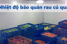 Nhiệt độ bảo quản rau củ quả trong kho lạnh