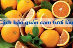 cách bảo quản cam quýt tươi lâu khi có hoặc không có tủ lạnh