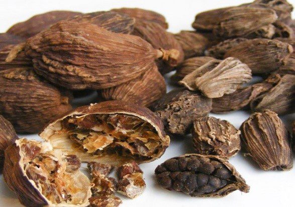  bảo quản hạt giống cây rừng