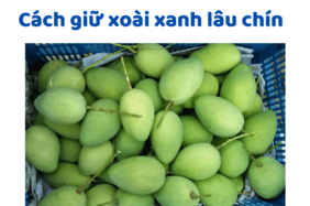 Cách Giữ Xoài Xanh Lâu Chín