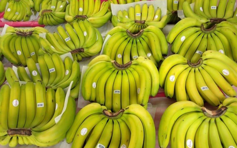 TẤT TẦN TẬT VỀ CHUỐI LABA – Morning Fruit - Trái Cây Chất Lượng Cao