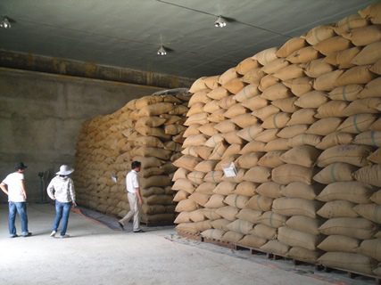 Cách bảo quản thóc giống