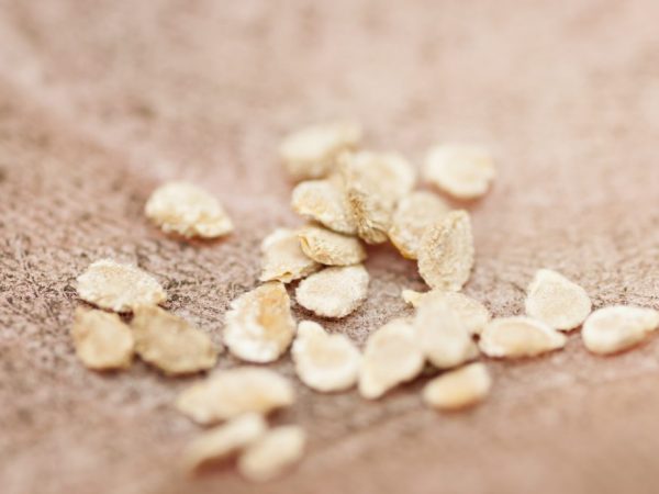 Bước 3: Phơi khô hạt cà chua