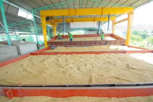 bảo quản thóc giống