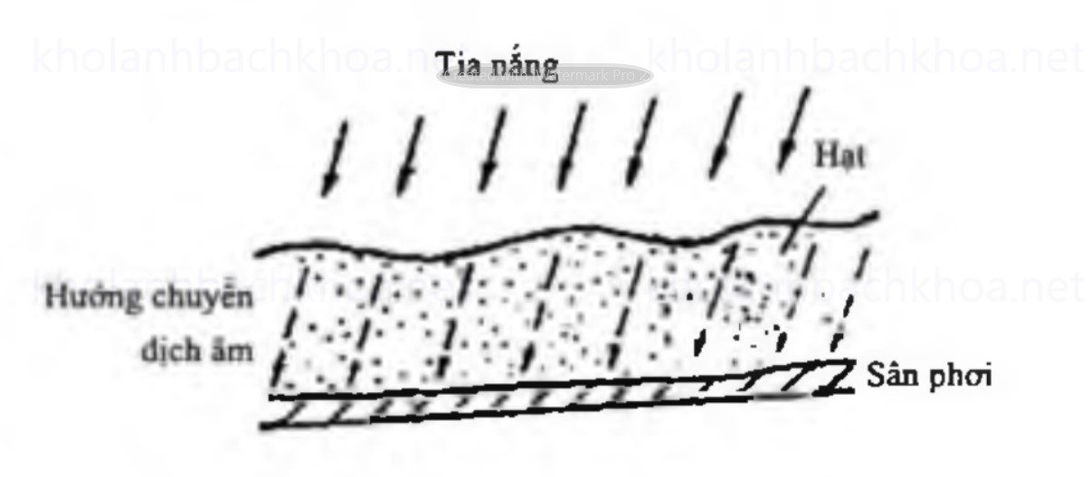 Sơ đồ chuyển ẩm khi phơi hạt