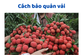 Cách Bảo Quản Vải