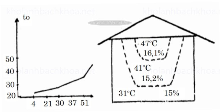 Quá trình tự bốc nóng của kho lúa