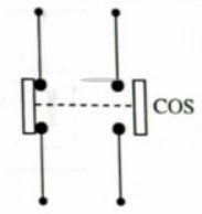 Phần tử chuyển mạch