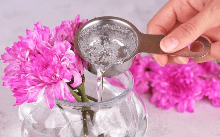 Cho rượu vào bình hoa
