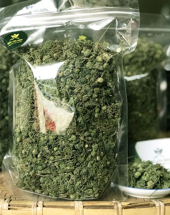 Cách bảo quản nụ hoa tam thất khô