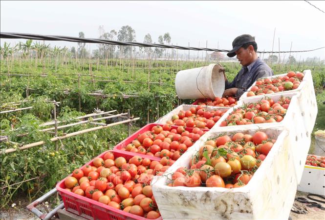 Lưu trữ trên đồng ruộng