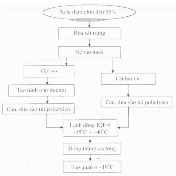 Quy trình chế biến xoài lạnh đông