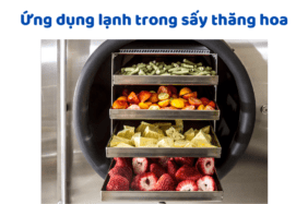 Ứng Dụng Kỹ Thuật Lạnh Trong Sấy Thăng Hoa