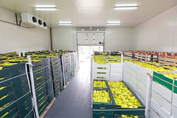 Kho lạnh bảo quản trái cây
