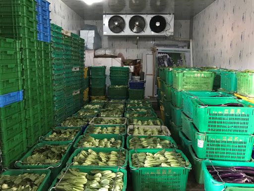 Kho lạnh bảo quản rau, củ