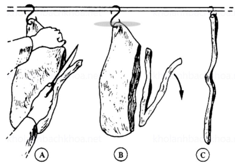 Cắt thịt