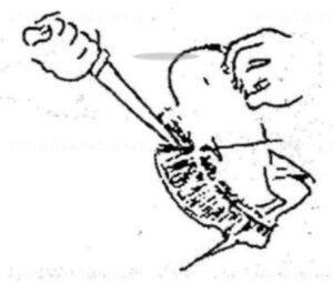 Cắt bỏ phần gốc mang gắn liền với đầu cá 