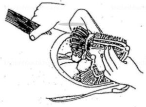 Rút mang và ruột cá cũng như tất cả phần thịt còn sót lại