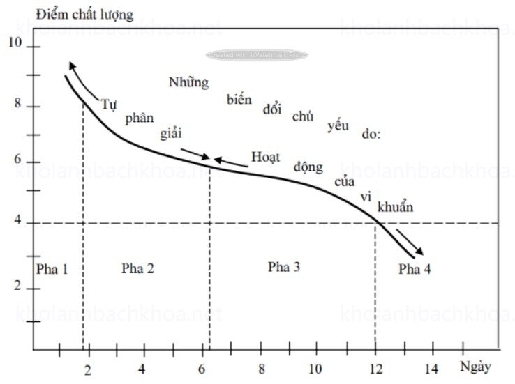 Những biến đổi chất lượng của cá tuyết ướp đá 0oC