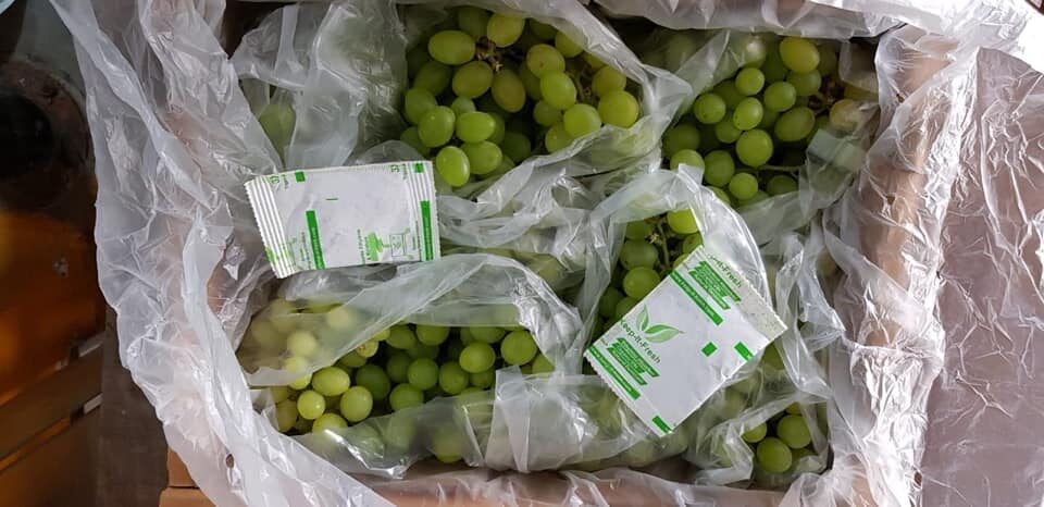 Bảo quản nho tươi bằng gói hút Ethylene Sachet KIF