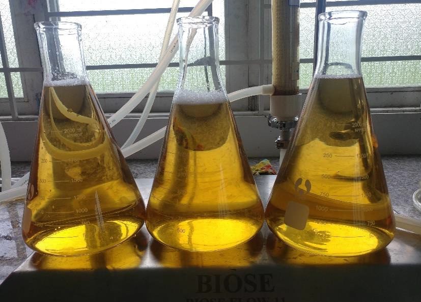 Chế phẩm trichobrachin