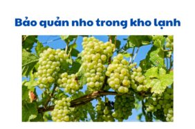 Quy Trình Bảo Quản Nho Trong Kho Lạnh