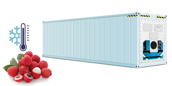 Thuê kho lạnh, container lạnh