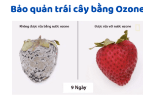 Bảo Quản Hoa Quả Bằng Ozone