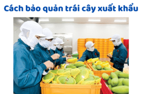 Cách Bảo Quản Trái Cây Xuất Khẩu