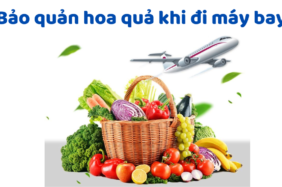 Bảo Quản Hoa Quả Khi đi Máy Bay