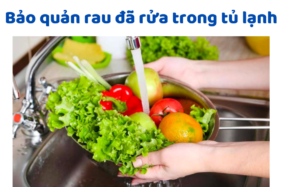 Bảo Quản Rau đã Rửa Trong Tủ Lạnh