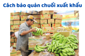 Cách Bảo Quản Chuối Xuất Khẩu