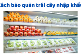 Cách Bảo Quản Trái Cây Nhập Khẩu