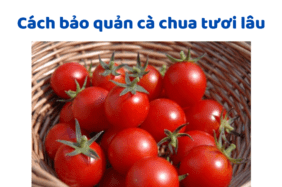 Cách Bảo Quản Cà Chua Tươi Lâu