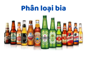 Phân Loại Bia