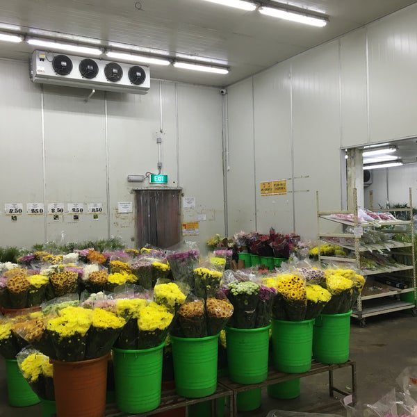 Flower storage cold room, UPP TILL 81% AV hög försäljning - akshardecora.com