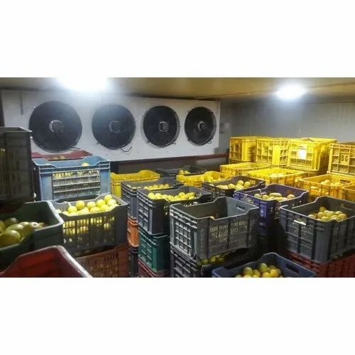 Fruit Ripening Chamber, Capacity: 5 To 25 Ton at Rs 150000 in Rajpura | ID: 21699224412