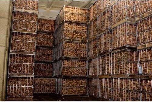 Upto 150 Tom Potato Cold Storage Room at Rs 150000 in Chennai | ID: 23181700191
